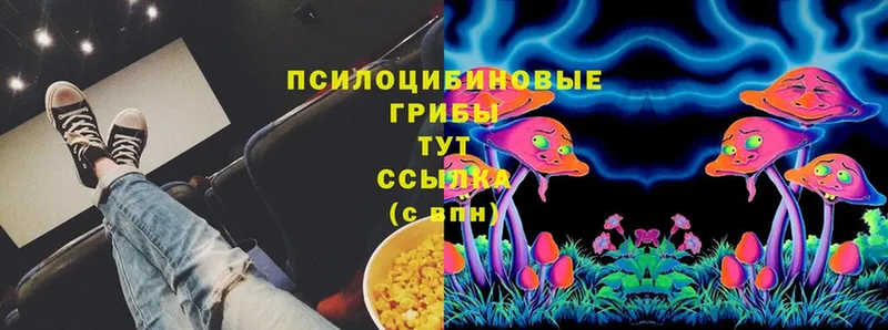 Галлюциногенные грибы Magic Shrooms  Черногорск 